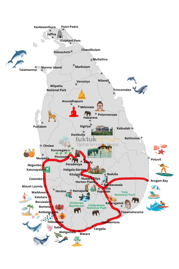 tuktuk itinerary map for route 2 in medium trips